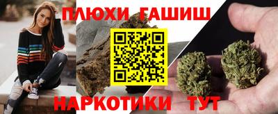 гашик Краснознаменск