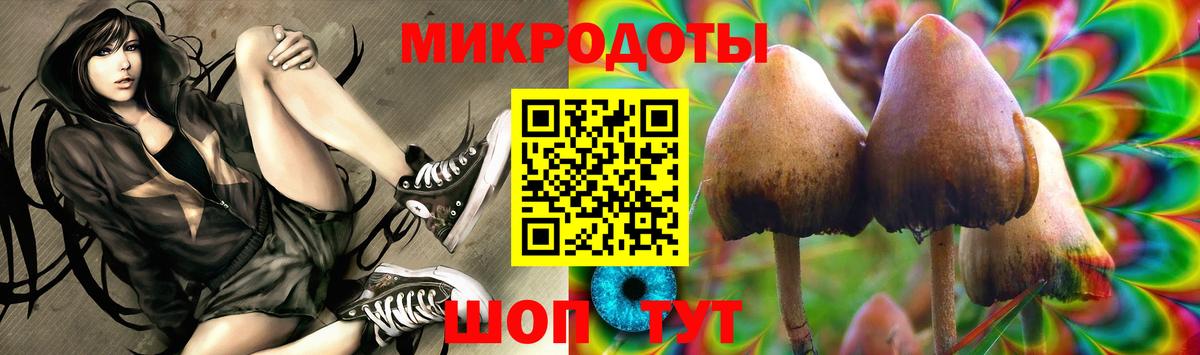 Псилоцибиновые грибы мицелий  Галлюциногенные грибы GOLDEN TEACHER  Гагарин  Вход с VPN 